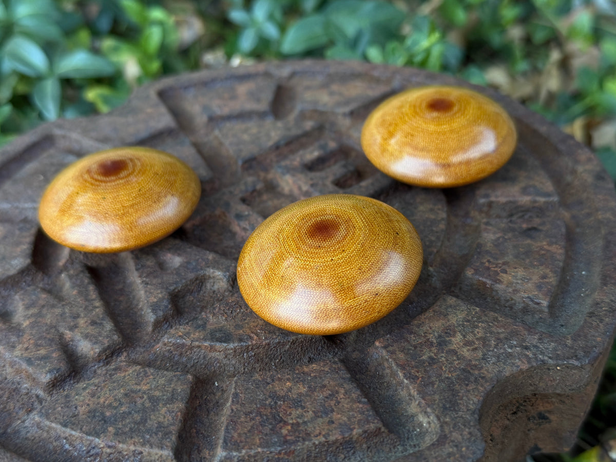 Canvas Micarta Pocket Pill